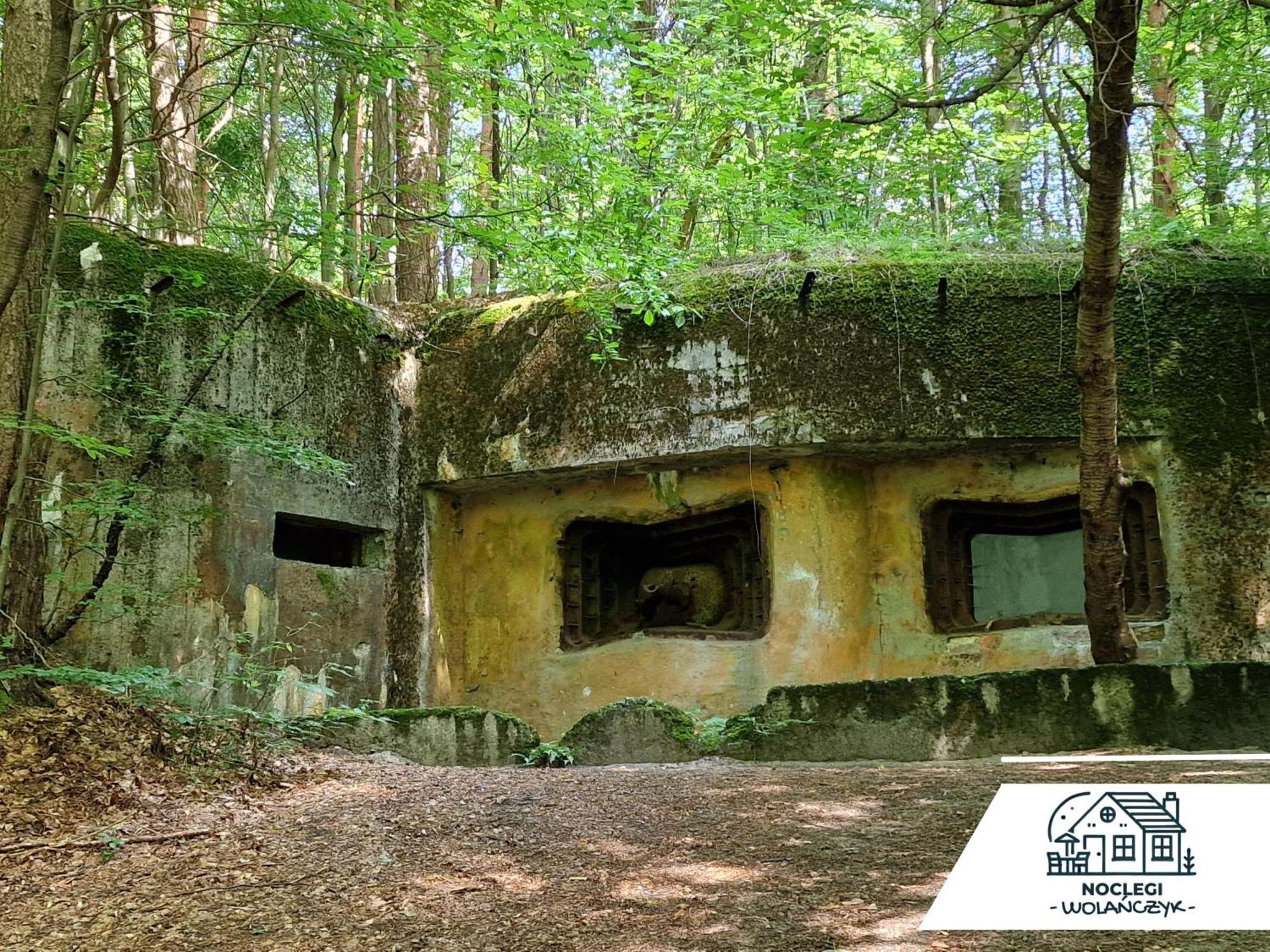 Wola Wielka - Domki Wygoda Nr2 Narol Exterior photo